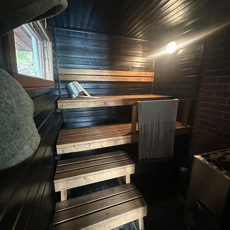 Perinteistae Moekkitunnelmaa Ja Upeat Loeylyt *